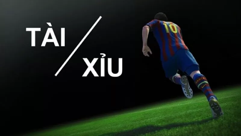 T&agrave;i xỉu 1 tr&aacute;i l&agrave; g&igrave;?